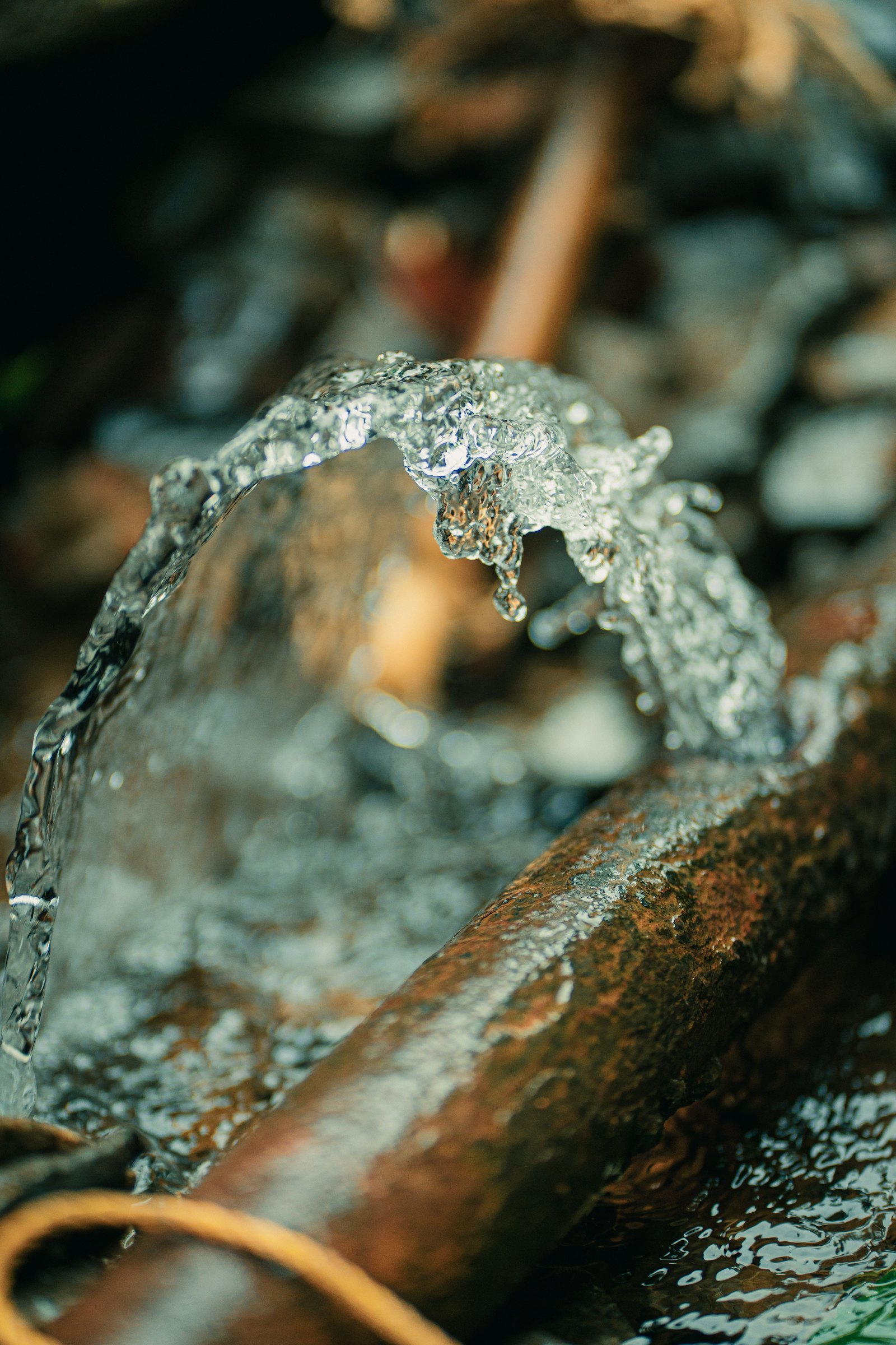 Dakota Plumbing Co — plumber in East Goshen, PA