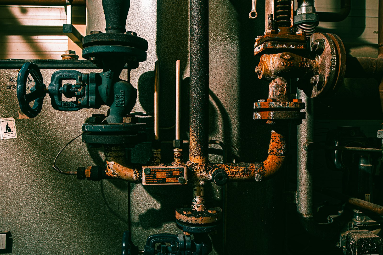 Cougar Rooter — plumber in Lower Southampton, PA